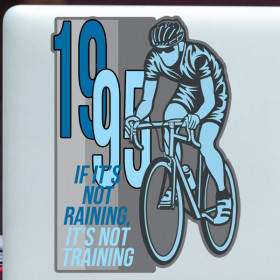 Training 1995 sticker